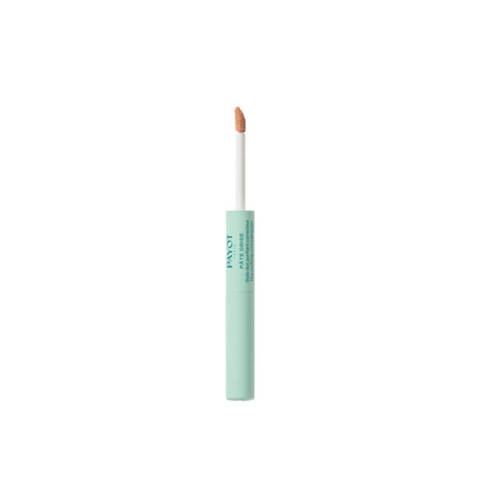 payot pate grise 2 in 1 duo purifying concealing pen